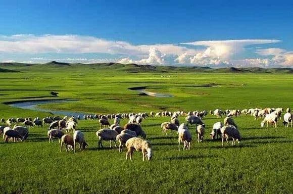10 Most Beautiful Grasslands in China
