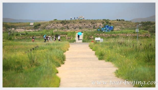 Jinlianchuan Grassland (Tips & Photos)