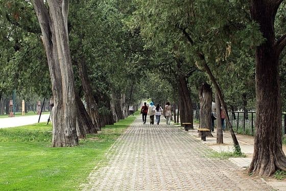 A Comprehensive Guide to Visiting the Temple of Heaven