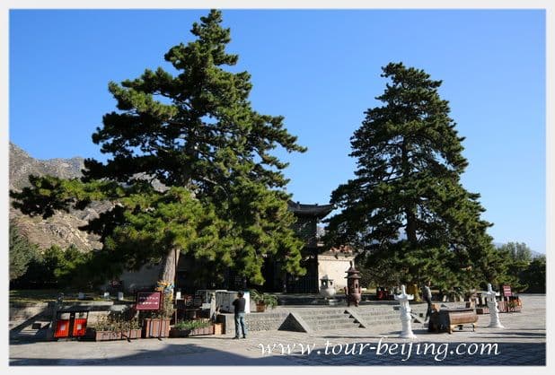 Meidaizhao Temple (Tips, Photos & Map)