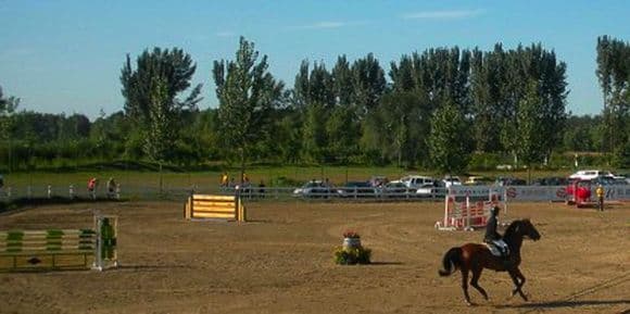 Equestrian Clubs in Beijing (Tips, Photos）