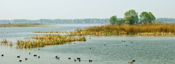 Top 10 Wetlands in Beijing