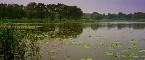 Top 10 Wetlands in Beijing