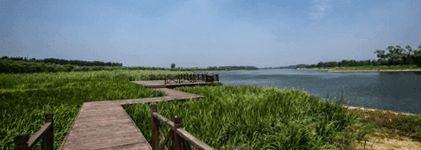 Top 10 Wetlands in Beijing