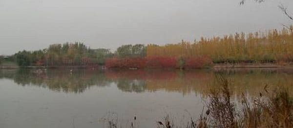 Top 10 Wetlands in Beijing