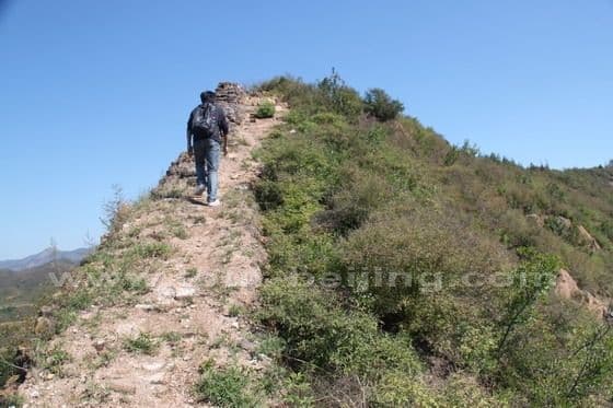 Hike from Gubeikou Great Wall to Jinshanling Great Wall