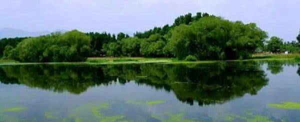 Top 10 Wetlands in Beijing