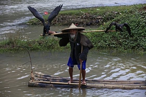 An old fishman and his fishing birds