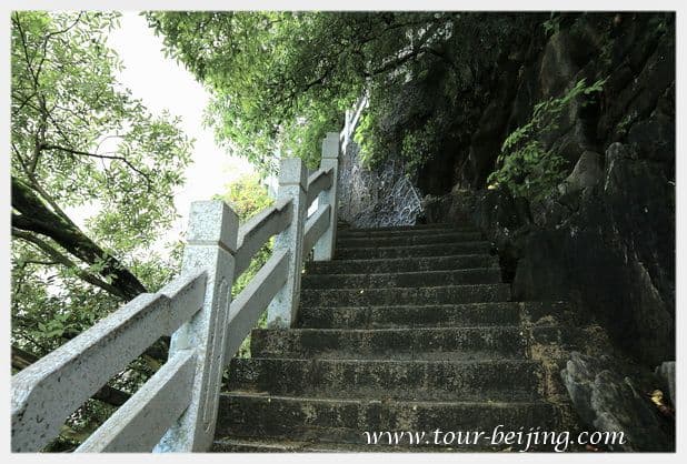 Folded Brocade Hill (Diecai Hill) (Tips, Photos & Map)