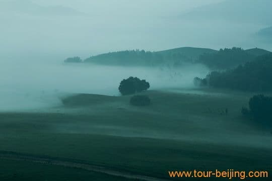 Early Morning Magical Fog