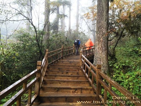 Hailuogou Glacier Boardwalk