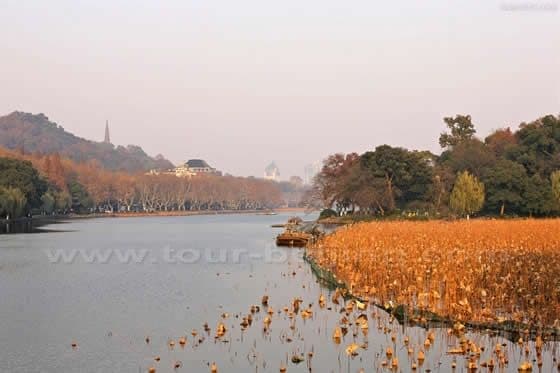 Hangzhou in Autumn