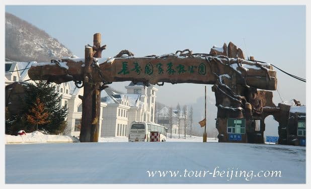 Harbin Jihua Ski Resort (Tips, Photos & Map)