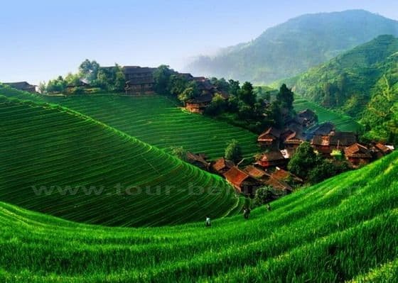 Longji Terraced Field