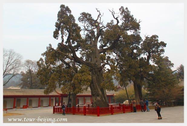 How to Visit Huangdi Mausoleum (Tips, Photos & Map)
