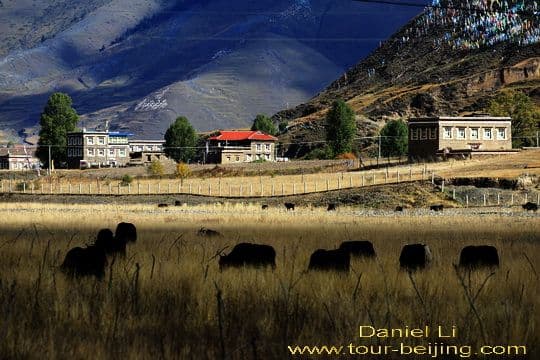 Drive from Xinduqiao to Danba