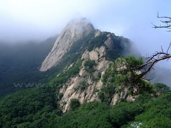 Phoenix Mountain1