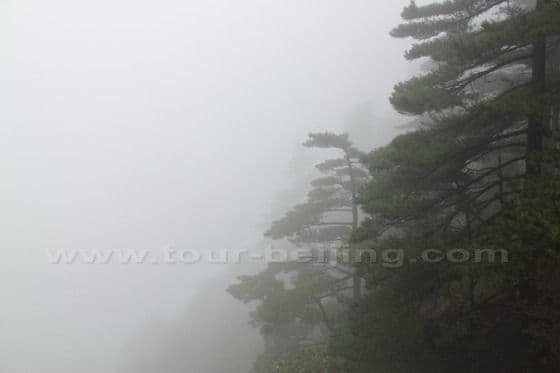 My 3rd Day on Mount Huangshan