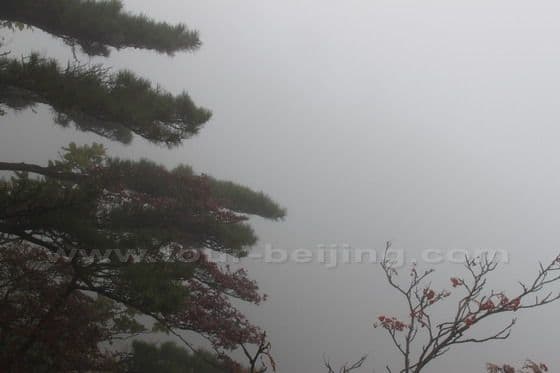 My 3rd Day on Mount Huangshan
