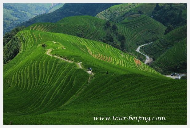 How to Visit Longji Rice Terraces from Guilin (Tips, Photos & Map)
