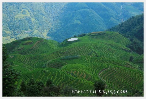 How to Visit Longji Rice Terraces from Guilin (Tips, Photos & Map)