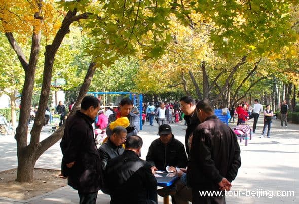 Best Places to See Fall Foliage in Beijing (Tips, Photos & Map)
