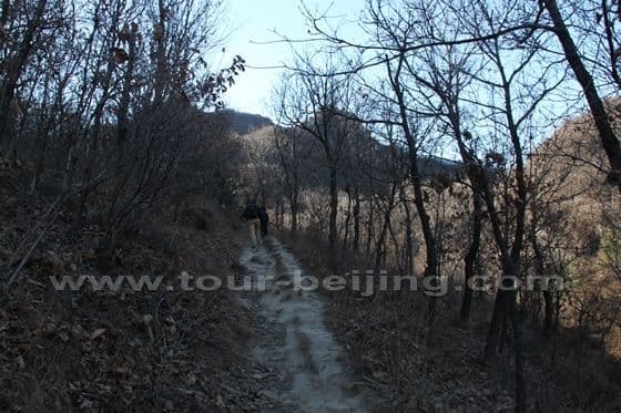 Scramble along a narrow and steep bushy mountain path