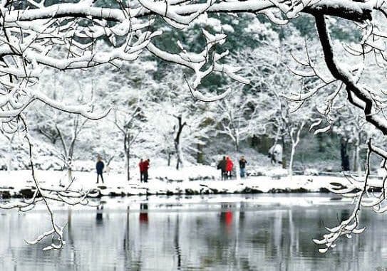 Inverted snow scene reflected on the water.