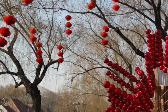 Sugar coasted haws and res lanterns