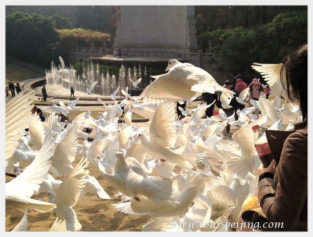 Sun Yat-sen Mausoleum Music Stage (Tips, Photos & Map)