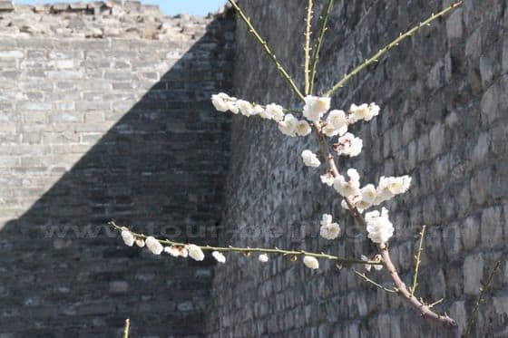 Ming Dynasty Wall Relics Park Beijing