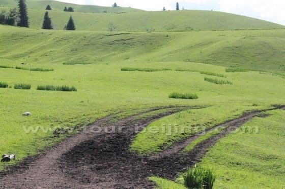 Narat Grassland in Xinjiang