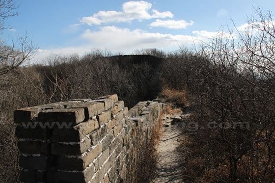 The masonry and mortar clearly seen on the unrestored wall.