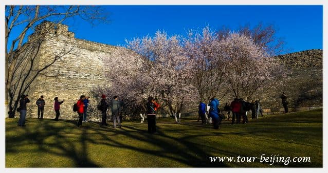 Beijing in March Travel Guide (Weather, Wear, Events & Tips)