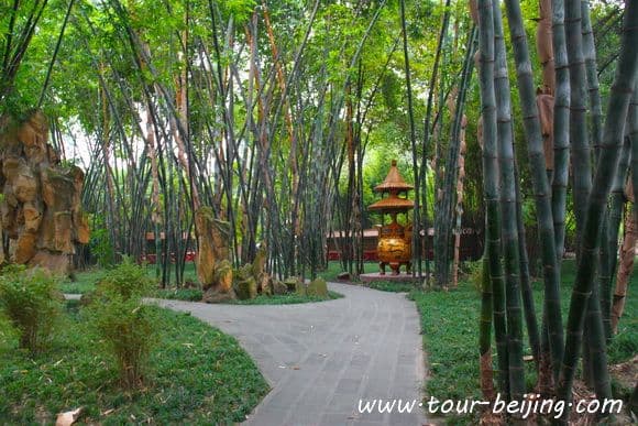 How to Visit Wangjiang Pavilion Park in Chengdu