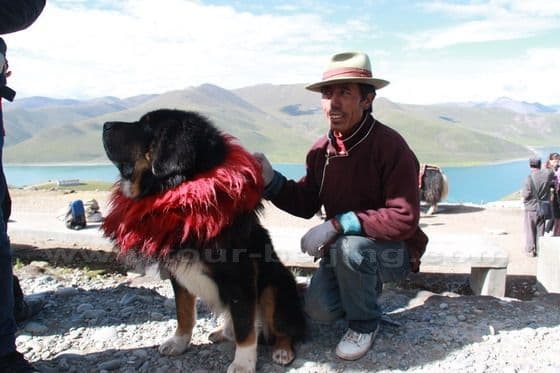 Lhasa Yamdrok Lake Road Trip (Tips, Photos & Maps)
