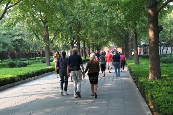 How to Visit Lama Temple (Tips, Photos & Map)