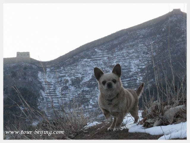 Zhuangdaokou Great Wall Pass
