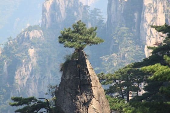 My First Day on Mount Huangshan (1)
