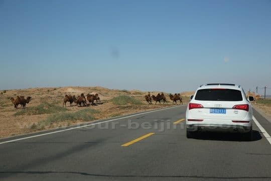 Badain Jaran Desert