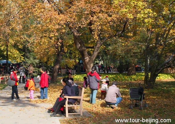 Best Places to See Fall Foliage in Beijing (Tips, Photos & Map)