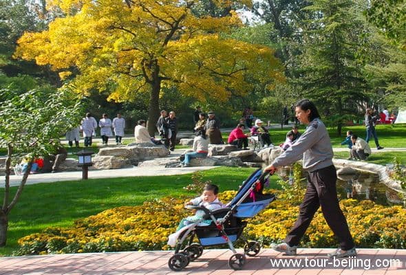 Best Places to See Fall Foliage in Beijing (Tips, Photos & Map)