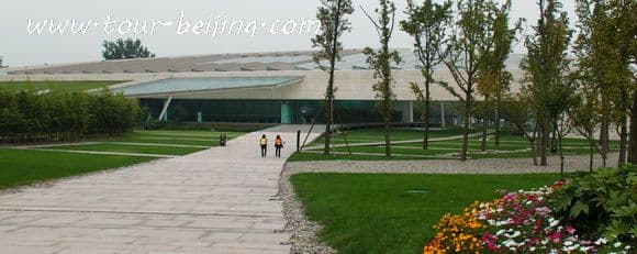 How to Visit Jinsha Site Museum (Tips, Photos & Map)