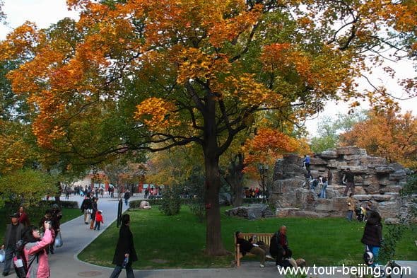 Best Places to See Fall Foliage in Beijing (Tips, Photos & Map)