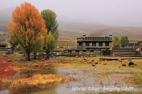 Drive from Litang to Daocheng (Tips, Photos & Map)
