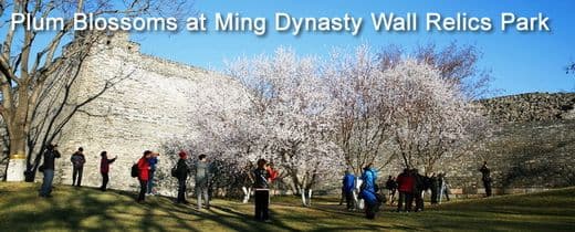 Best Time to visit Beijing (Tips, Photos & Map)