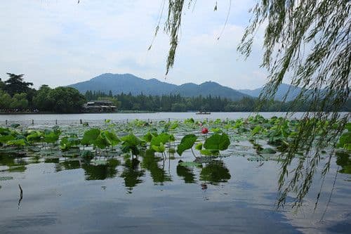 The picturesque West Inner West Lake on the northern side of Su Causeway.