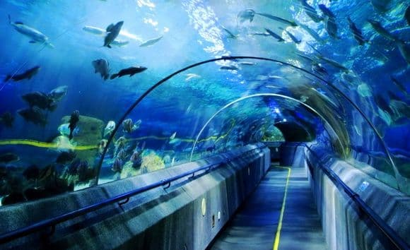 Top 10 Attractions in Dalian (Tips, Photos and Maps)