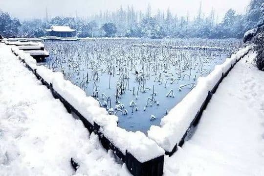 Beautiful Geometry of a Snow Triangle