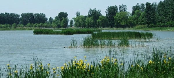 Top 10 Wetlands in Beijing